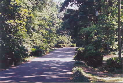 W Indianhead Dr looking S