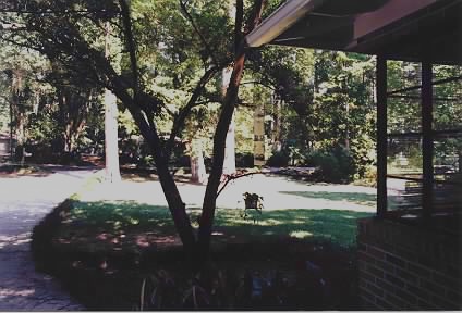 front yard as the camera sees it
