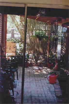 sun room photo