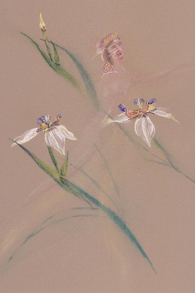 flowers-24.jpg - iris and dancer