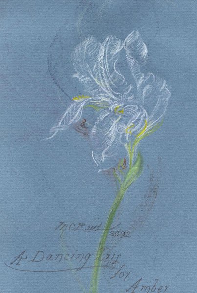 flowers-35.jpg - Dancing Iris for Amber